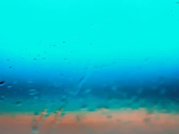 Voluntary Liquidation and Forgotten Assets