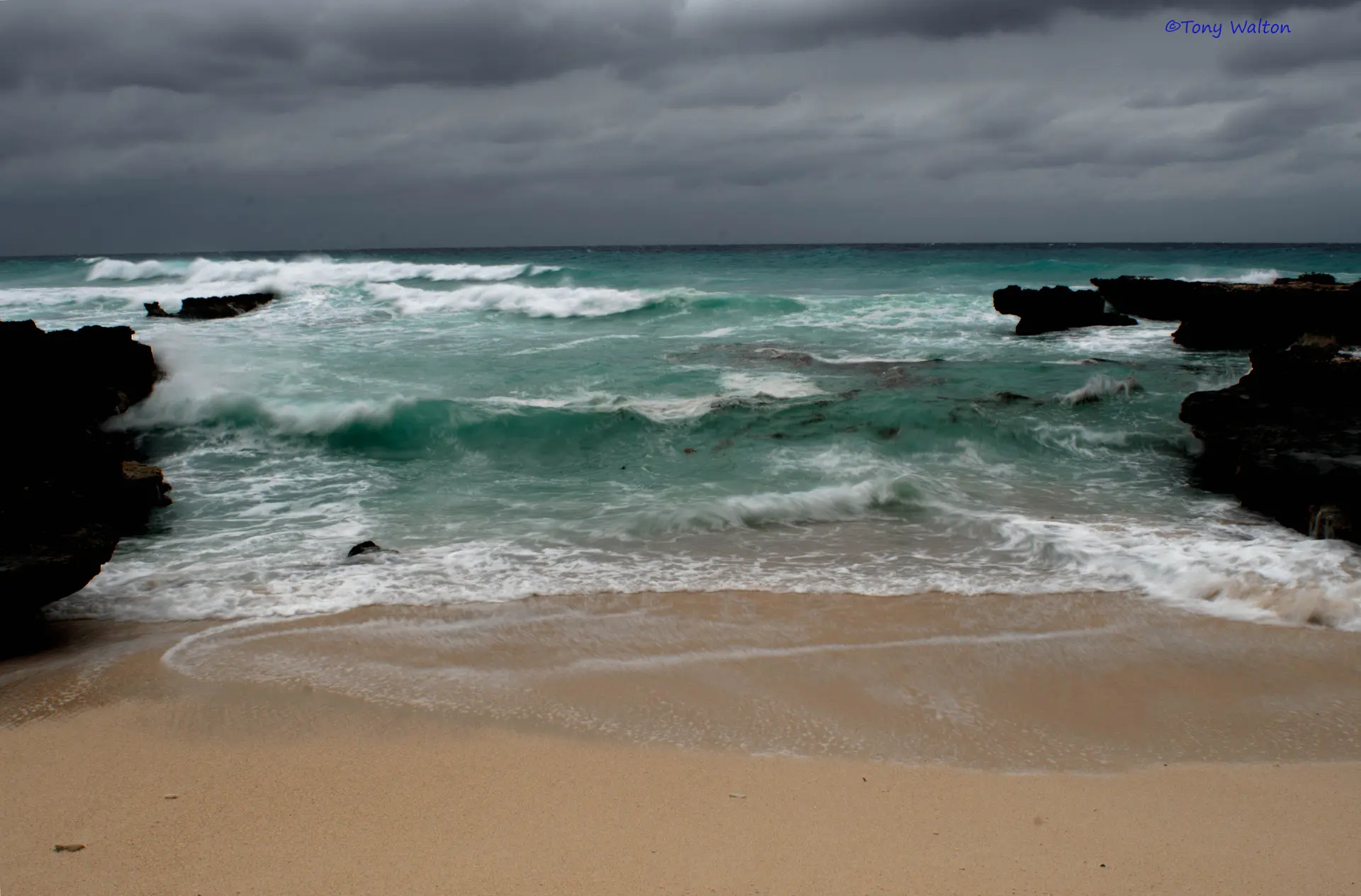 Economic Substance Obligations for Holding Companies